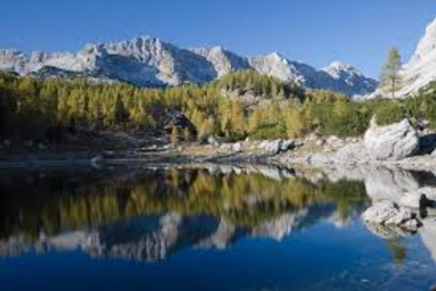 Ljubljana: Lake Bled & Triglav National Park Nature Tour
