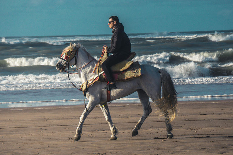 Homer, Alaska: Guided Beach Horse Riding Experience