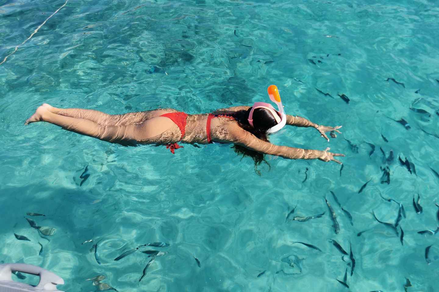 From Palau: La Maddalena Archipelago 4 Stops Boat Tour