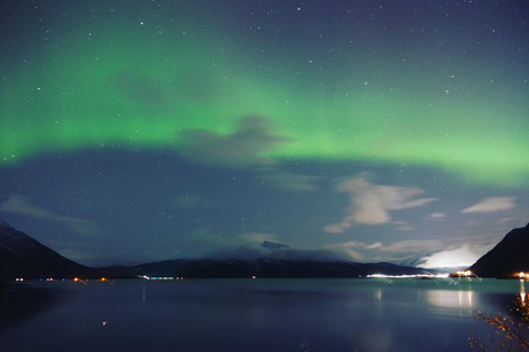 Harstad/Narvik/Tjeldsund: Northern Lights Sightseeing by Car