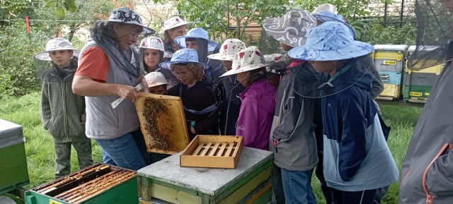 Visit Corund, HR Visit to bee-keeper, tasting & hive-opening in Praid, Romania