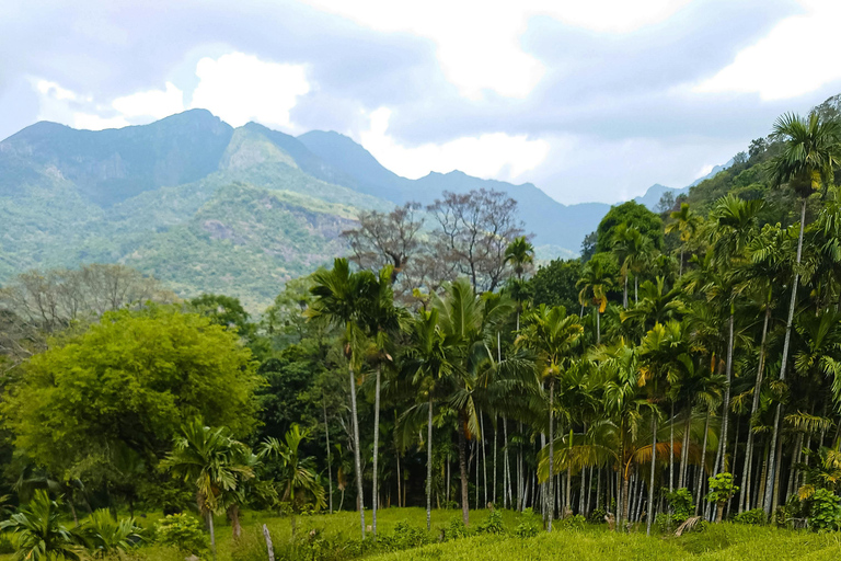 Colombo: Sapphire Mining & Gemological Tour to Hills
