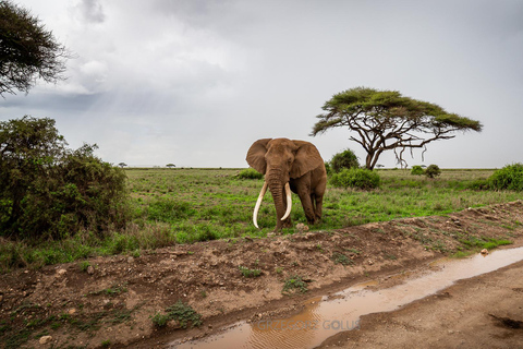3-Day Amboseli and Tsavo East Safari Tour