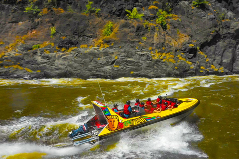 Cataratas Victoria: Experiencia de aventura en lancha motora