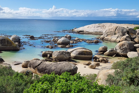 Luxury Cape of Good Hope & Penguin Tour