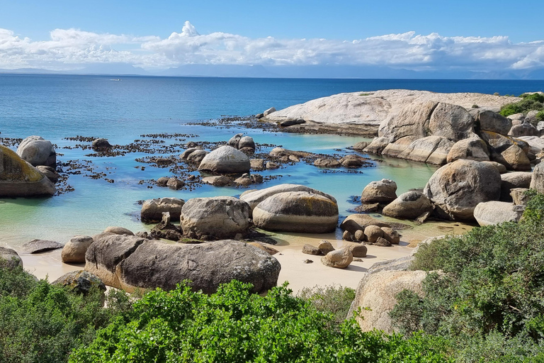 Luxury Cape of Good Hope & Penguin Tour