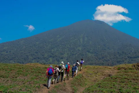 Volcanoes National Park: One-Day Bisoke Hiking Adventure