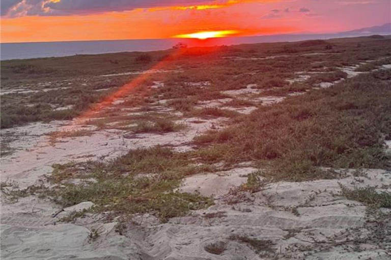 Huatulco: Tour Bio y Liberación