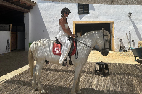 Alicante: przejażdżka konna po górach Maigmó, piknik i transferAlicante: Wycieczka konna na górę Maigmó, piknik i transfer