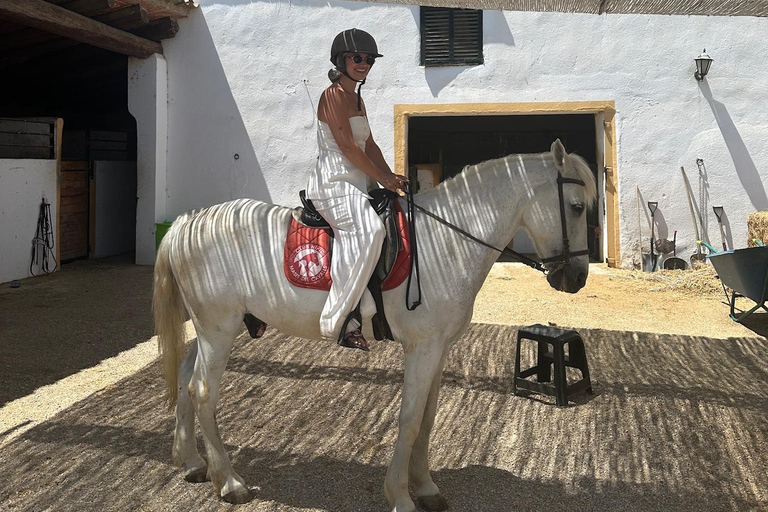 Alicante: przejażdżka konna po górach Maigmó, piknik i transferAlicante: Wycieczka konna na górę Maigmó, piknik i transfer