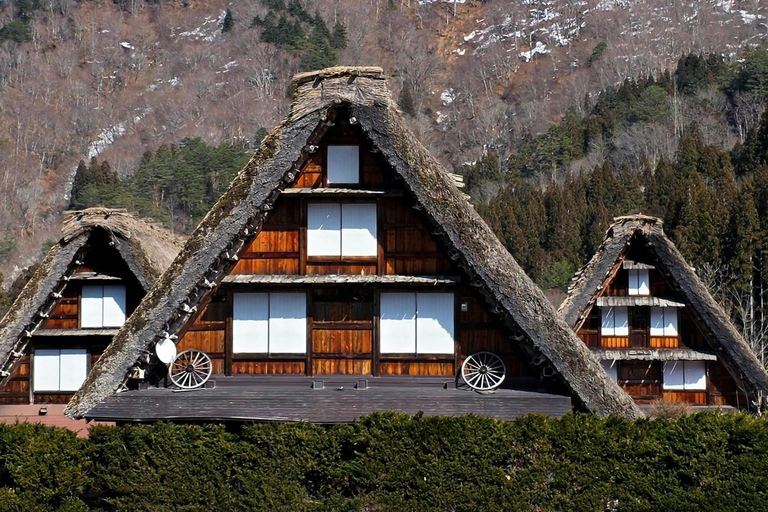 Nagoya: Takayama & Shirakawa-go Full Day Private Tour.