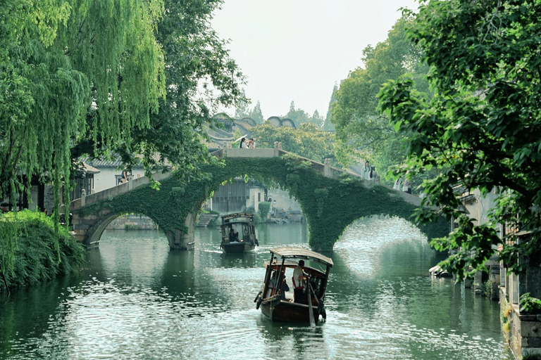 From Hangzhou: Wuzhen Water Town Day Trip & Night Lights