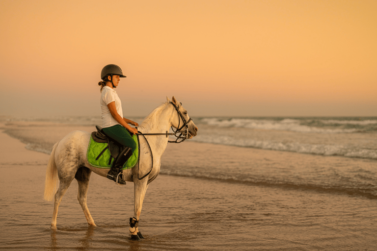 Doha: Private Beach Horse Riding Experience with Pickup Private Seaside Horse Riding