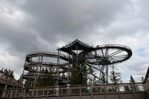Zakopane Day Trip from Krakow: Snowmobile+Treetop+Thermal Z5ZESWTP | City+Off-Road+Treetop+Thermal Pools(All-In)