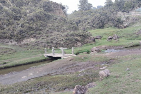 من أديس أبابا: رحلة نهارية من أديس أبابا إلى بحيرة ونشي كريتر مع وجبة غداء