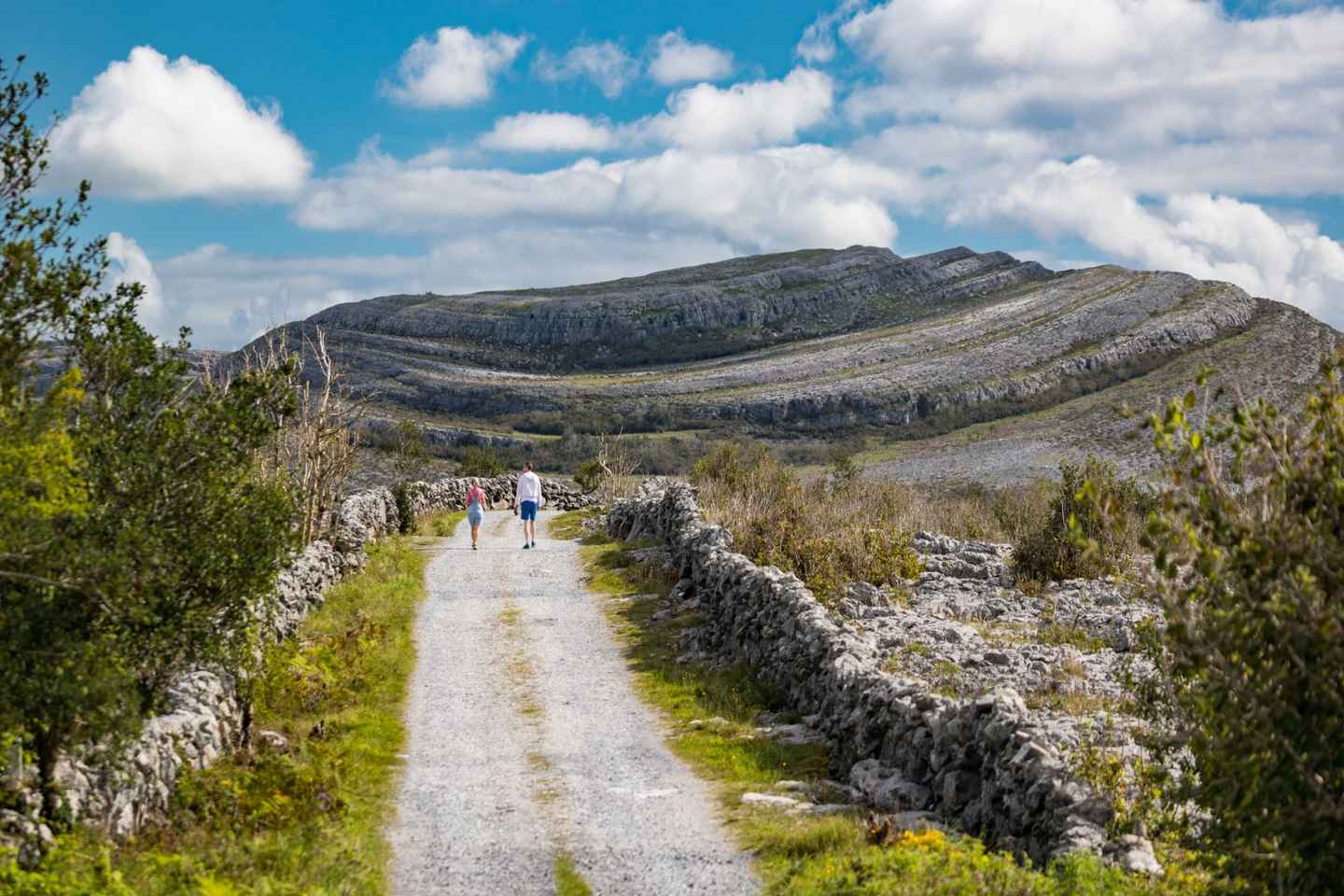 Einkaferð með bíl frá Dublin til Moher kletta og Galway borgar