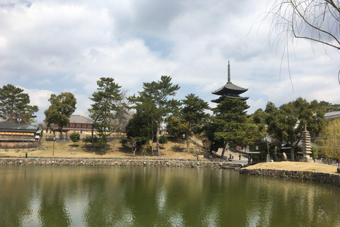 Nara: tour privato di mezza giornata guidato