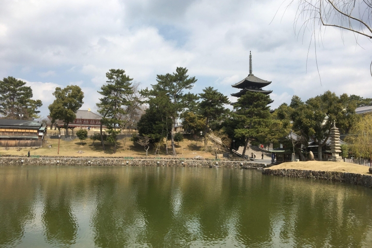 Tour de medio día con guía privado a los Templos de Nara