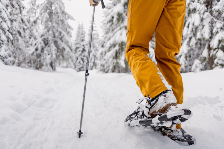 Vanuit Oslo: Sneeuwschoentocht met gids door Oslomarka ForestVanuit Oslo: begeleide sneeuwschoentocht door het bos van Oslomarka