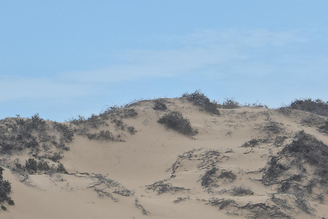 Small Group Sandwich Harbour 4x4 tour where dunes meet ocean