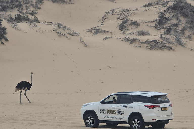 Small Group Sandwich Harbour 4x4 tour where dunes meet ocean