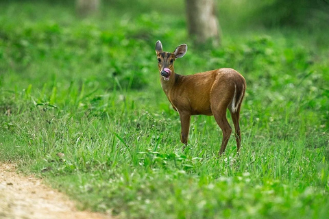 From Ho Chi Minh City: 2-Day Cat Tien National Park Tour
