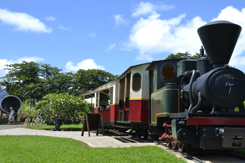 Excursion dans le nord de l&#039;île Maurice avec Port Louis et le jardin botanique