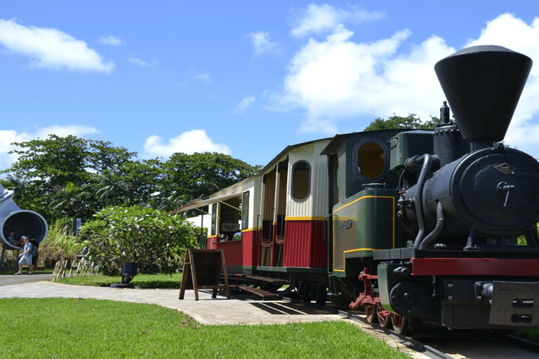 Excursion dans le nord de l&#039;île Maurice avec Port Louis et le jardin botanique