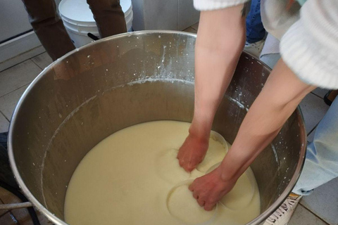 Puglia: Mozzarella Experience at an Apulian Farm Mozzarella Experience in English