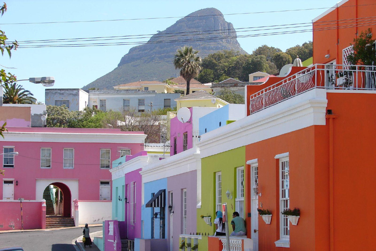 Private Tour: Table Mountain, Penguins Colony & Cape Of Good