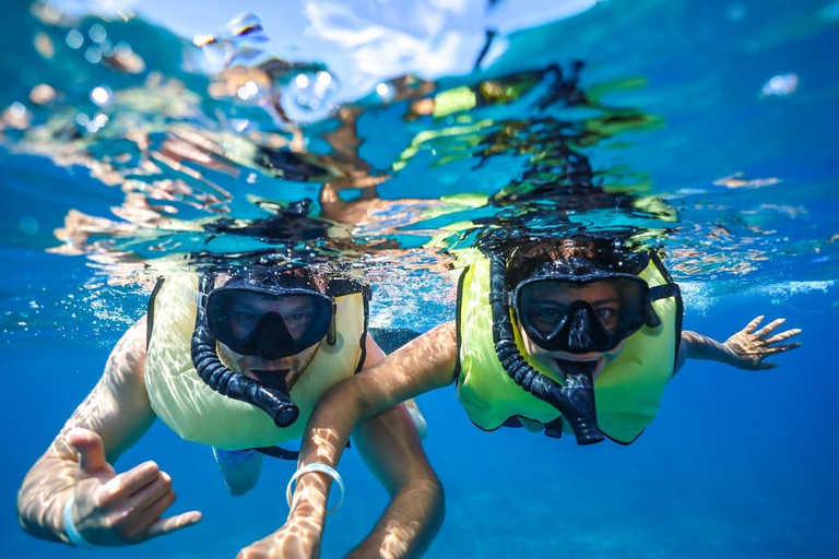 Mirissa: Dolphin Swim Blue Whale Snorkelling | All-Inclusive Mirissa: Scuba Diving & Turtle Snorkelling Experience