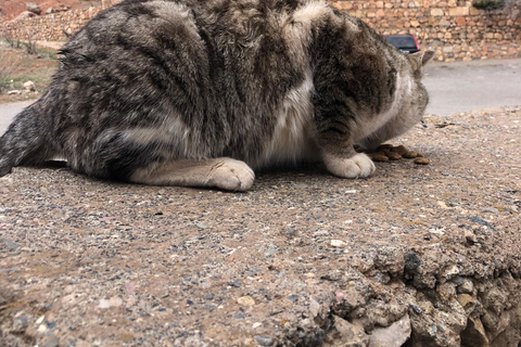 Yerevan: Silk Road Jeep Tour with Lake Sevan & Noravank