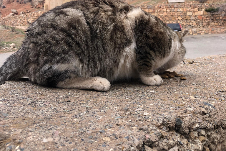 Yerevan: Silk Road Jeep Tour with Lake Sevan & Noravank