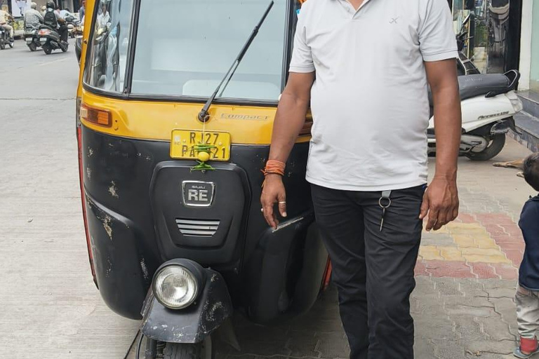 Udaipur: 8-Hour Private Sightseeing Tour by Auto with Guide