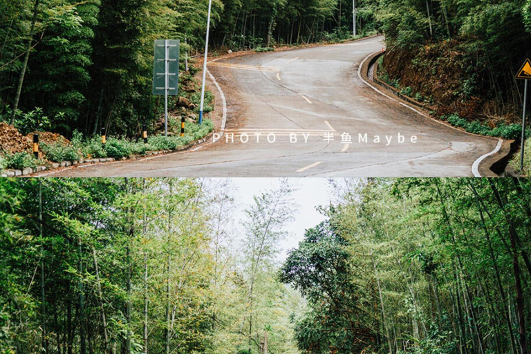 Shenzhen: Conghua Bamboo Forest & Village Private Day Trip