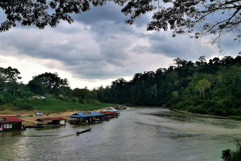 Kuala Lumpur: Taman Negara Tour w/Lata Berkoh Falls & Lunch Pickup Within KL City Centre Area Only