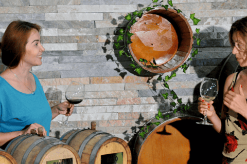 Fergana: Winegarden Winery Tour and Tasting