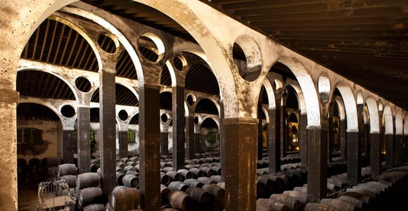 Cádiz: Bodegas Barbadillo Tour & Wine Tasting