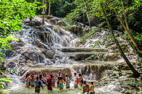 Ocho Rios: Dolphin Cove en Dunn&#039;s River Falls vanuit Mobay