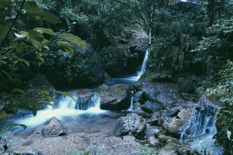 Hangzhou: Longjing Tea Culture & Nine Creeks Day Tour