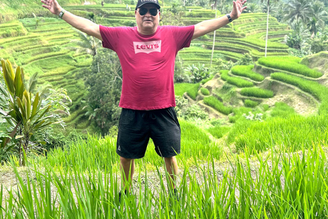 Ubud Waterfall, Temple, Rice Terrace & Art with Transfers