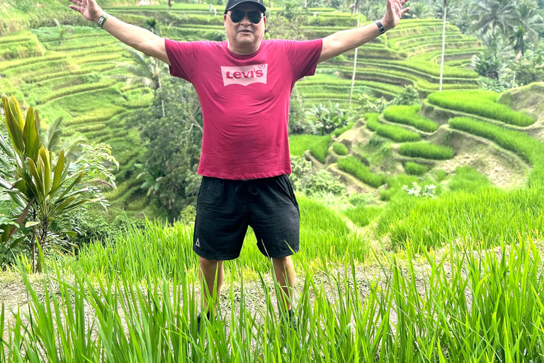 Ubud Waterfall, Temple, Rice Terrace & Art with Transfers