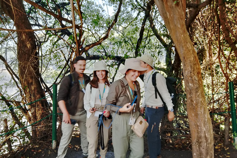Victoria falls Rainforest: Guided Sunrise, day & sunset Tour