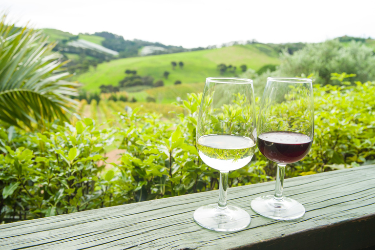 The Epic Waiheke Sundowner, Food And Wine Trip
