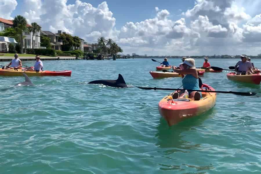 Sarasota: Geführte Kajak-Tour durch die Mangroven-Tunnel Lido Key. Foto: GetYourGuide Sarasota: Geführte Kajak-Tour durch die Mangroven-Tunnel Lido Key. Foto: GetYourGuide