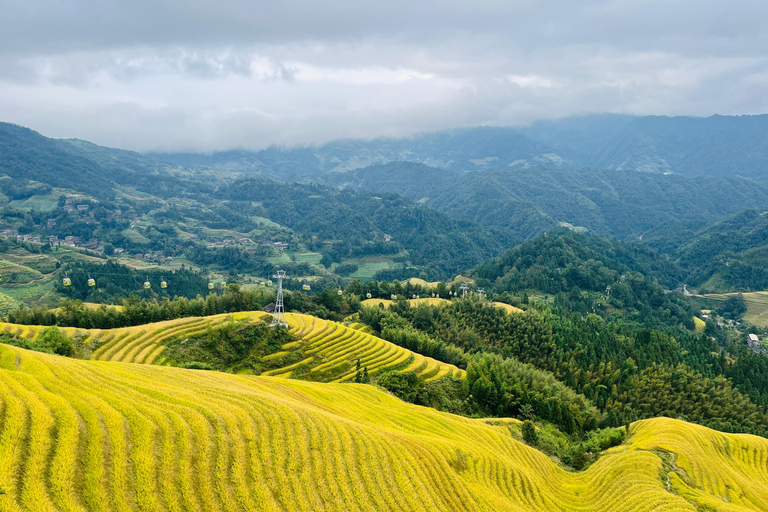 From Guilin/Yangshuo: Longji Rice Terraces Private Tour From Guilin: Longji Rice Terraces Private Tour
