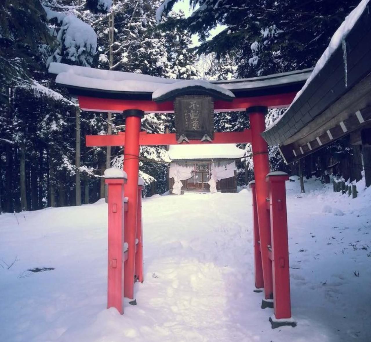 Shimizu: Private Tagestour in Nagano mit Guide