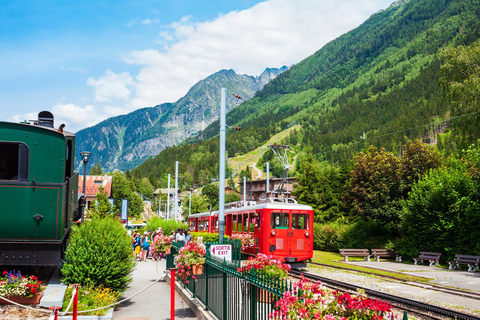 Excursión privada de un día desde Ginebra a Chamonix Mont Blanc