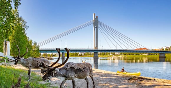Rovaniemi: Cultural Canoe Trip