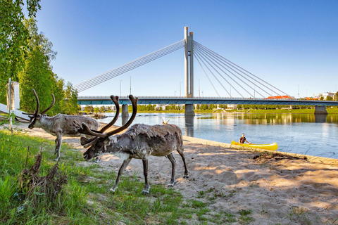 Rovaniemi: Cultural Canoe Trip